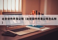 北京软件开发公司（北京软件开发公司怎么样）